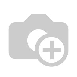Odoo Developer
